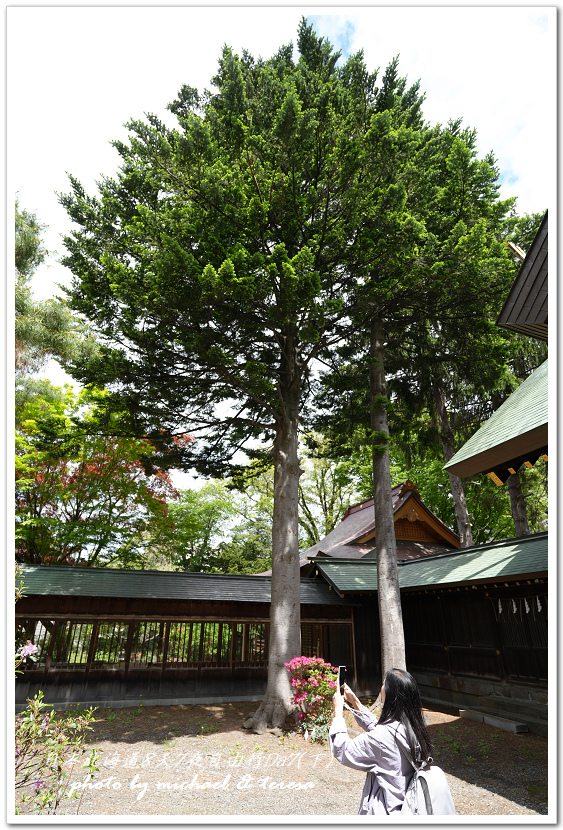 日本北海道8天7夜自由行Day7(下)琴似神社、北海道神宮、 日本北海道8天7夜自由行Day7(下)琴似神社、北海道神宮、