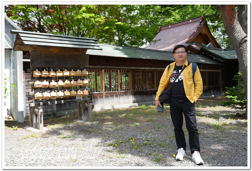 日本北海道8天7夜自由行Day7(下)琴似神社、北海道神宮、 日本北海道8天7夜自由行Day7(下)琴似神社、北海道神宮、