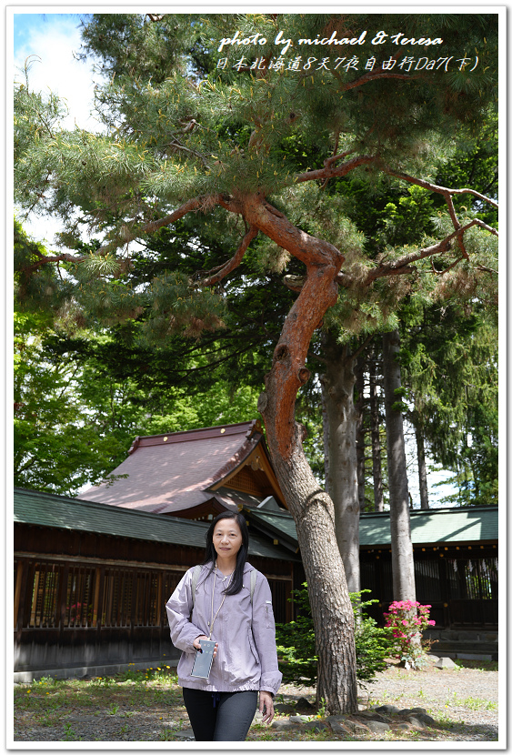 日本北海道8天7夜自由行Day7(下)琴似神社、北海道神宮、 日本北海道8天7夜自由行Day7(下)琴似神社、北海道神宮、