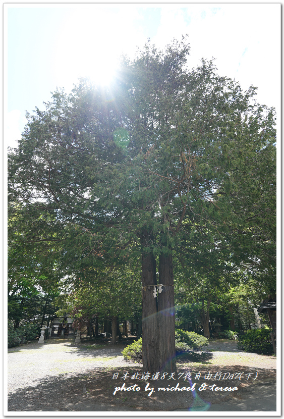 日本北海道8天7夜自由行Day7(下)琴似神社、北海道神宮、 日本北海道8天7夜自由行Day7(下)琴似神社、北海道神宮、