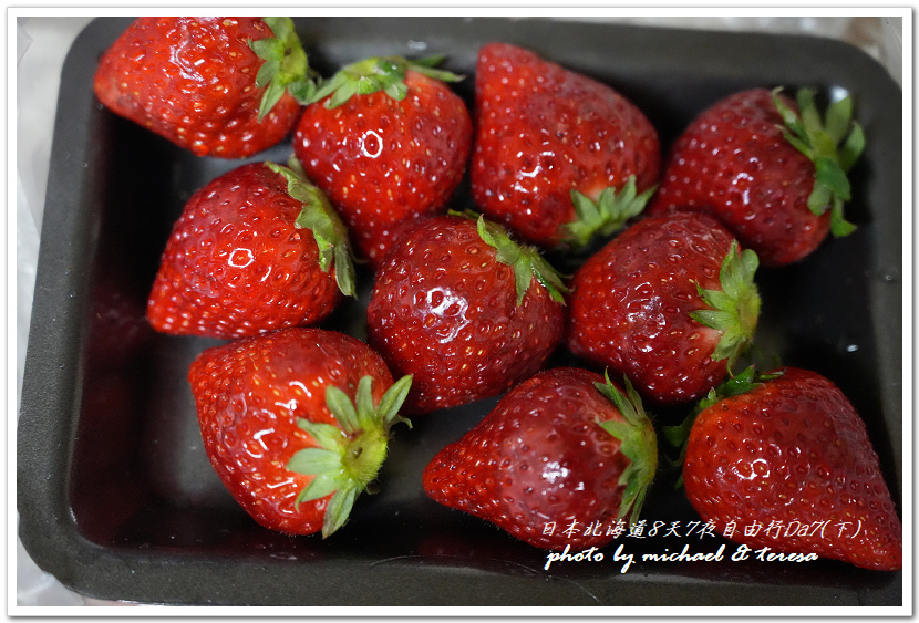 日本北海道8天7夜自由行Day7(下)琴似神社、北海道神宮、 日本北海道8天7夜自由行Day7(下)琴似神社、北海道神宮、