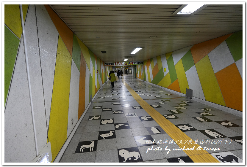 日本北海道8天7夜自由行Day7(下)琴似神社、北海道神宮、 日本北海道8天7夜自由行Day7(下)琴似神社、北海道神宮、