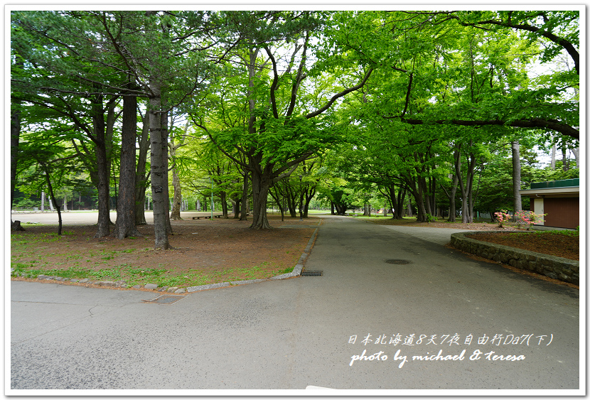 日本北海道8天7夜自由行Day7(下)琴似神社、北海道神宮、 日本北海道8天7夜自由行Day7(下)琴似神社、北海道神宮、
