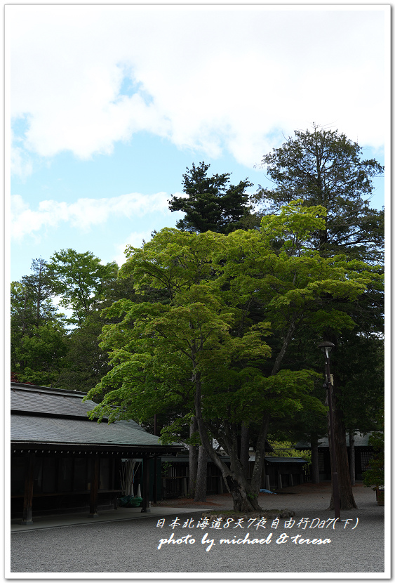 日本北海道8天7夜自由行Day7(下)琴似神社、北海道神宮、 日本北海道8天7夜自由行Day7(下)琴似神社、北海道神宮、