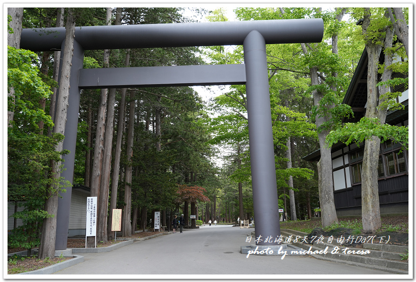 日本北海道8天7夜自由行Day7(下)琴似神社、北海道神宮、 日本北海道8天7夜自由行Day7(下)琴似神社、北海道神宮、