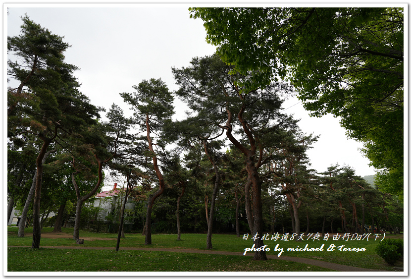 日本北海道8天7夜自由行Day7(下)琴似神社、北海道神宮、 日本北海道8天7夜自由行Day7(下)琴似神社、北海道神宮、