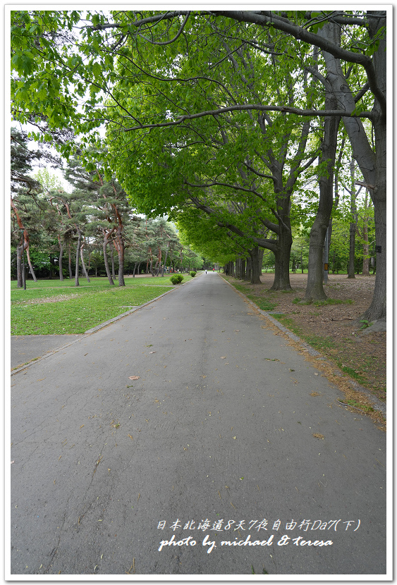 日本北海道8天7夜自由行Day7(下)琴似神社、北海道神宮、 日本北海道8天7夜自由行Day7(下)琴似神社、北海道神宮、