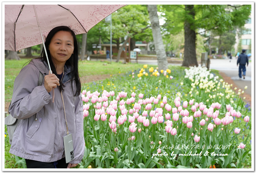 日本北海道8天7夜自由行Day7(下)琴似神社、北海道神宮、 日本北海道8天7夜自由行Day7(下)琴似神社、北海道神宮、