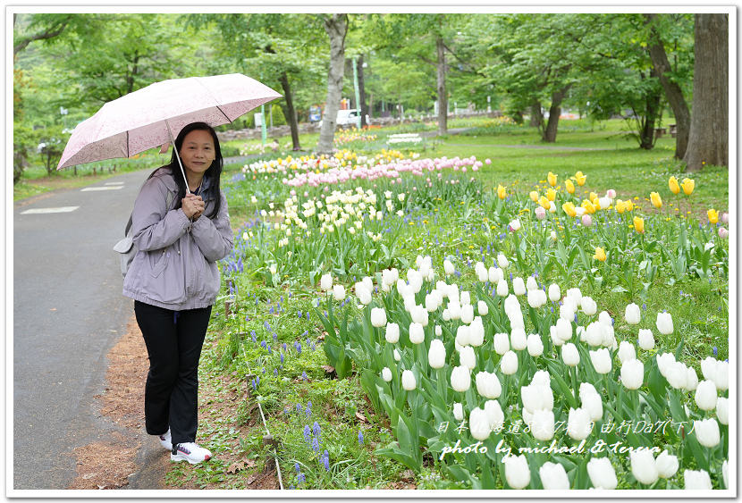 日本北海道8天7夜自由行Day7(下)琴似神社、北海道神宮、 日本北海道8天7夜自由行Day7(下)琴似神社、北海道神宮、