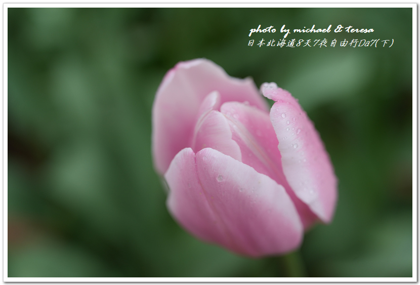 日本北海道8天7夜自由行Day7(下)琴似神社、北海道神宮、 日本北海道8天7夜自由行Day7(下)琴似神社、北海道神宮、