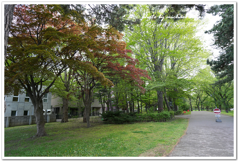 日本北海道8天7夜自由行Day7(下)琴似神社、北海道神宮、 日本北海道8天7夜自由行Day7(下)琴似神社、北海道神宮、