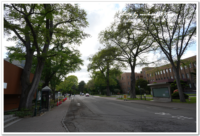 日本北海道8天7夜自由行Day7(下)琴似神社、北海道神宮、 日本北海道8天7夜自由行Day7(下)琴似神社、北海道神宮、