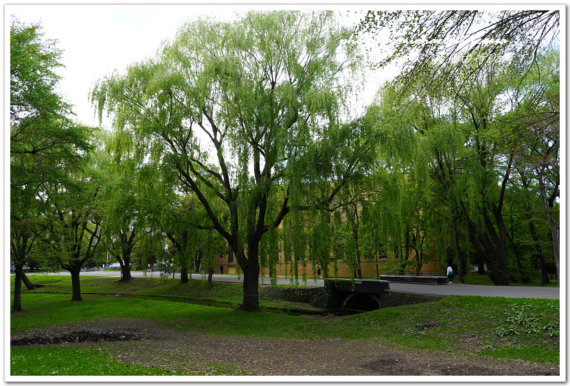 日本北海道8天7夜自由行Day7(下)琴似神社、北海道神宮、 日本北海道8天7夜自由行Day7(下)琴似神社、北海道神宮、