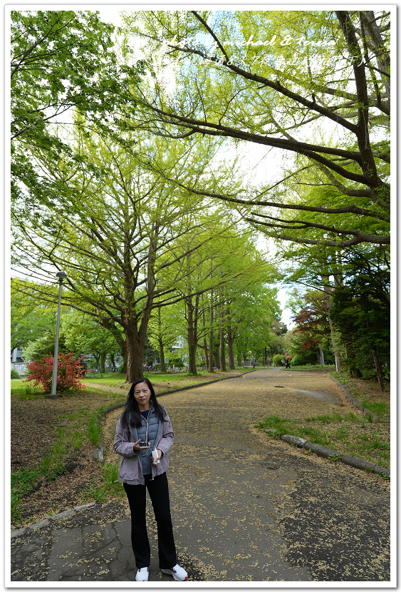 日本北海道8天7夜自由行Day7(下)琴似神社、北海道神宮、 日本北海道8天7夜自由行Day7(下)琴似神社、北海道神宮、
