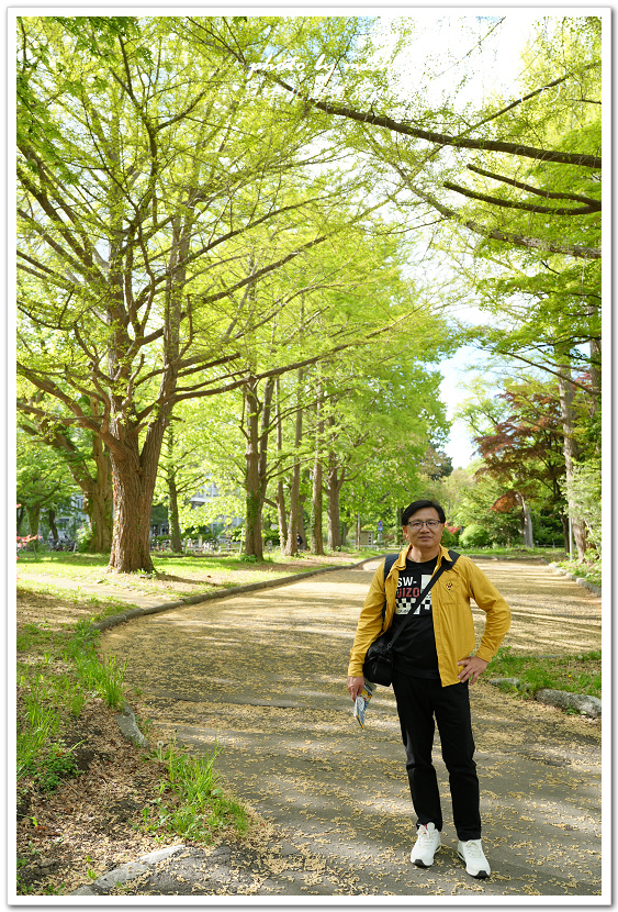 日本北海道8天7夜自由行Day7(下)琴似神社、北海道神宮、 日本北海道8天7夜自由行Day7(下)琴似神社、北海道神宮、