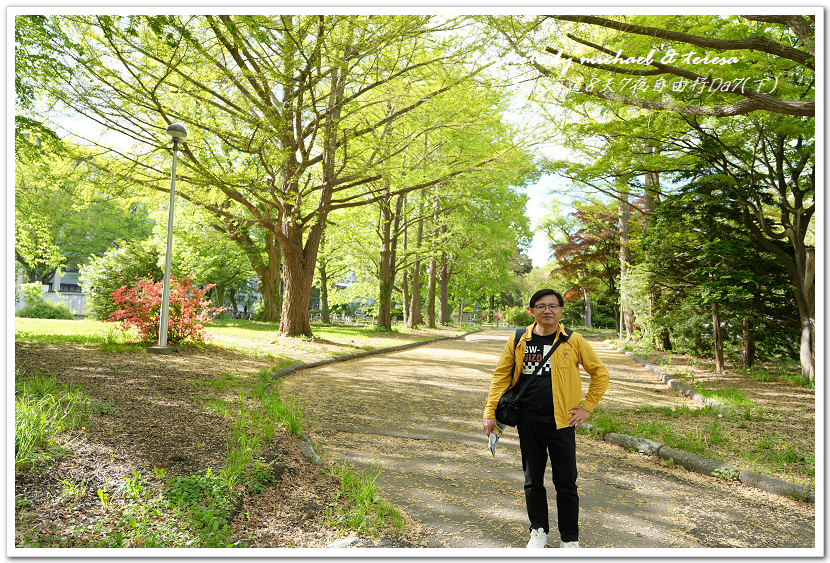 日本北海道8天7夜自由行Day7(下)琴似神社、北海道神宮、 日本北海道8天7夜自由行Day7(下)琴似神社、北海道神宮、