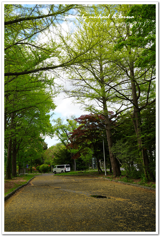 日本北海道8天7夜自由行Day7(下)琴似神社、北海道神宮、 日本北海道8天7夜自由行Day7(下)琴似神社、北海道神宮、