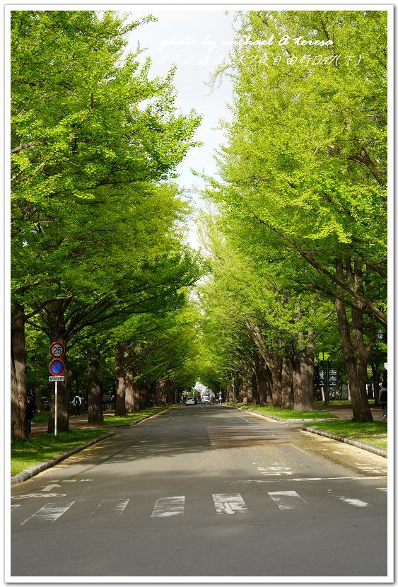 日本北海道8天7夜自由行Day7(下)琴似神社、北海道神宮、 日本北海道8天7夜自由行Day7(下)琴似神社、北海道神宮、