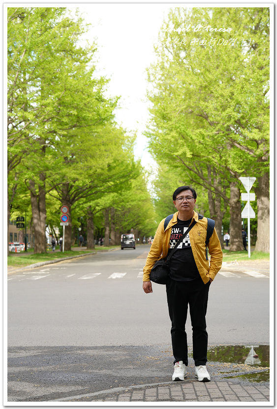 日本北海道8天7夜自由行Day7(下)琴似神社、北海道神宮、 日本北海道8天7夜自由行Day7(下)琴似神社、北海道神宮、