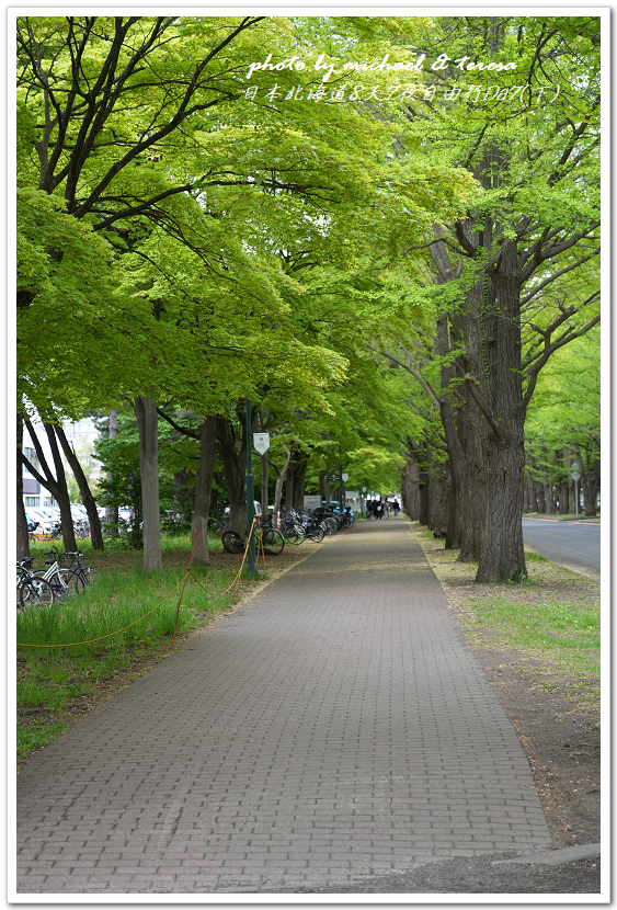 日本北海道8天7夜自由行Day7(下)琴似神社、北海道神宮、 日本北海道8天7夜自由行Day7(下)琴似神社、北海道神宮、
