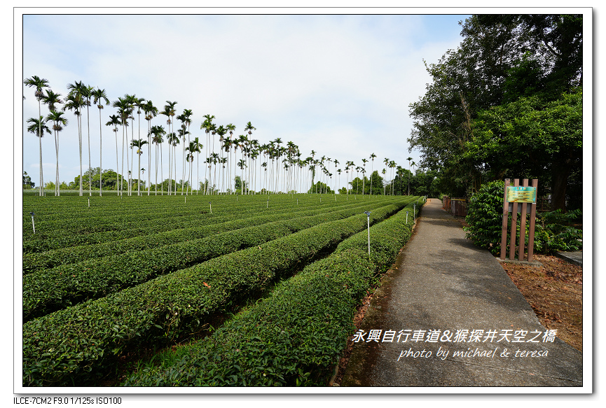 猴探井天空之橋半日遊