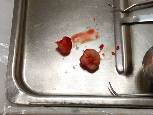 IMG20160920094743君 (7).jpg