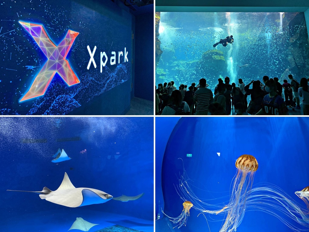 [旅遊] 桃園青埔Xpark都會型水族館真實狀況分享