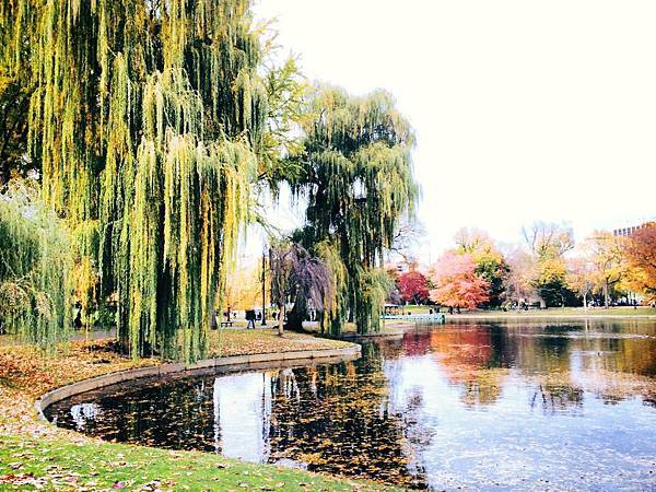 Boston-Public Gardens