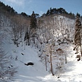 南東北旅遊2009 272.jpg