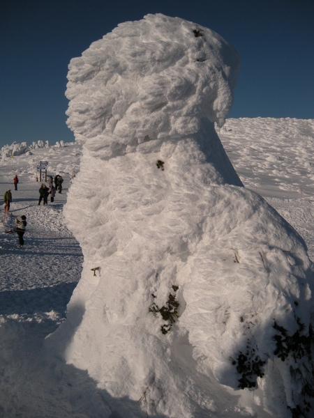 南東北旅遊2009 497.jpg