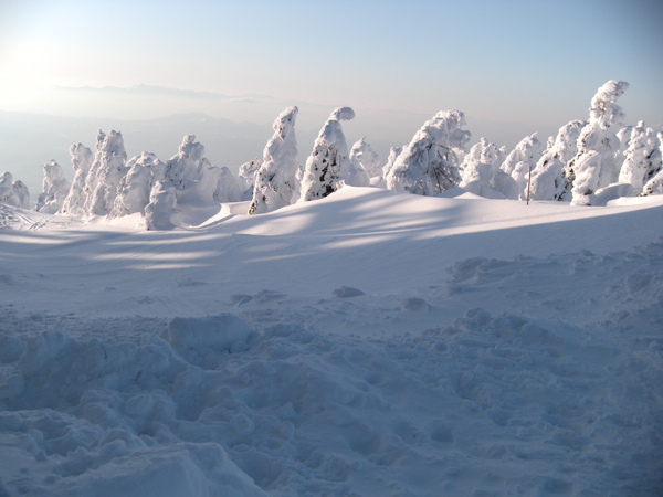 南東北旅遊2009 524.jpg