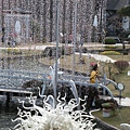 南東北旅遊2009 774.jpg