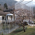 南東北旅遊2009 836.jpg