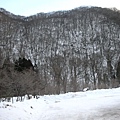 南東北旅遊2009 777.jpg