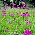 20100706_沙溪鎮馬坪關_033