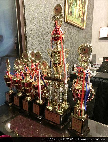 艾娜絲凝膠美甲ANS Nail