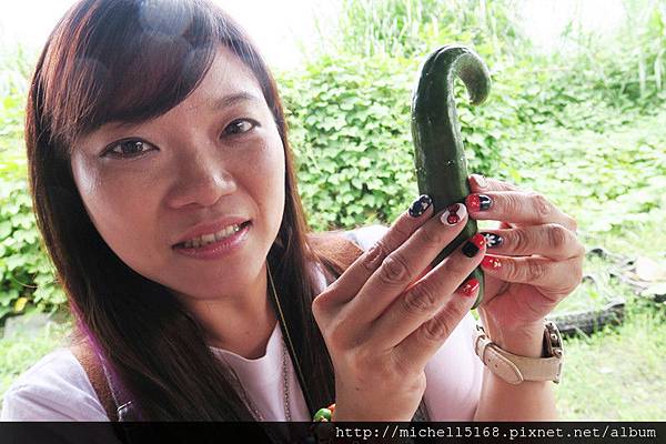 ♥花蓮一日遊♥ 江玉寶有機農場+如豐琢玉工坊 ♥花蓮一日遊♥ 江玉寶有機農場+如豐琢玉工坊