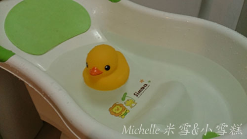 toy-duck1.jpg