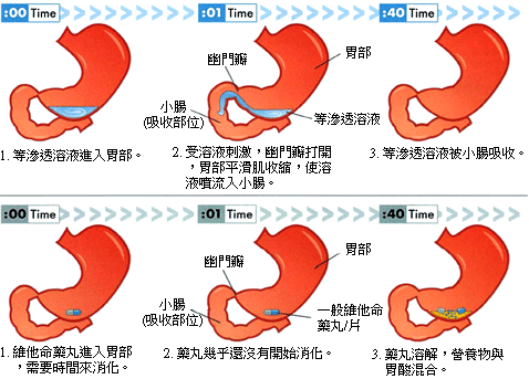 等滲透4.gif