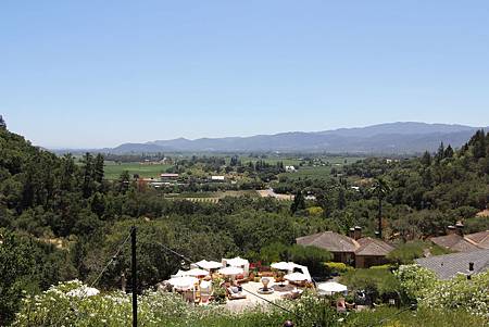 IMG_0017