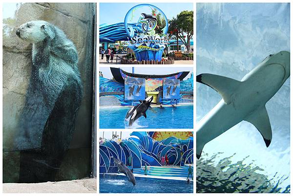 Sea World Sea World