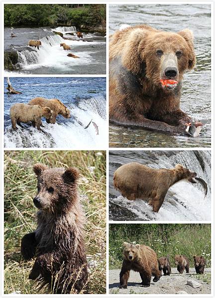 Katmai NP