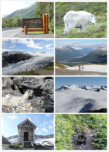 Harding Icefield Harding Icefield