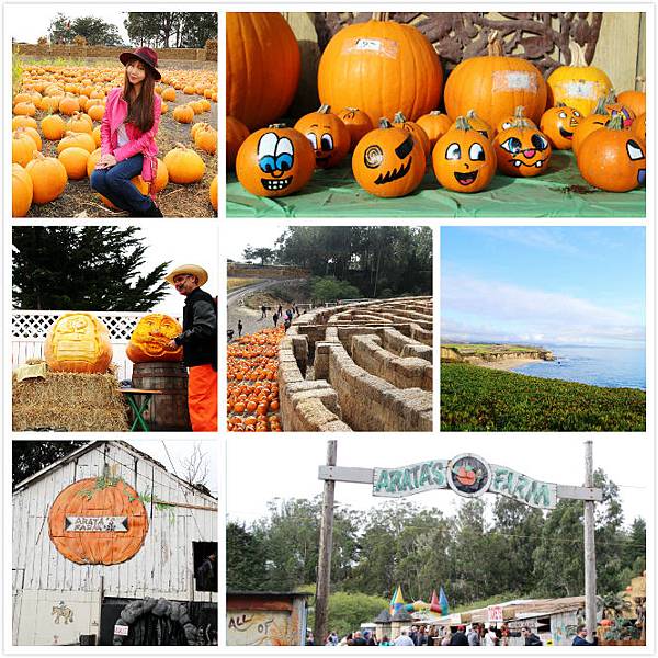 Pumpkin.jpg Pumpkin.jpg