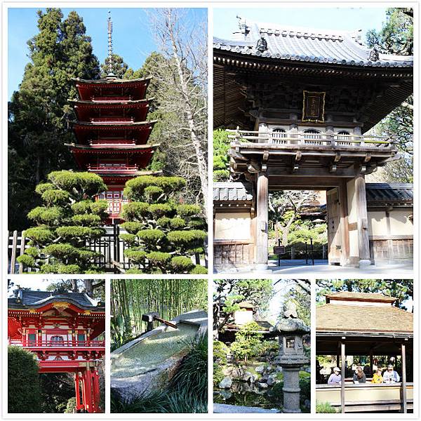 japanese tea garden.jpg japanese tea garden.jpg