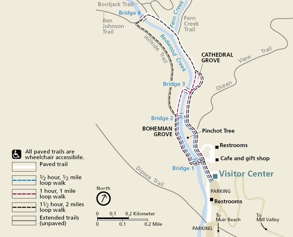 Muir-Woods-Trail-Map_mediumthumb