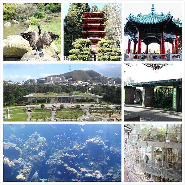 Golden Gate Park.jpg Golden Gate Park.jpg