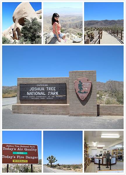 Joshua Tree.jpg Joshua Tree.jpg
