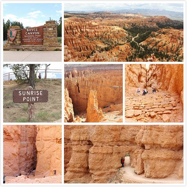 Bryce.jpg Bryce.jpg
