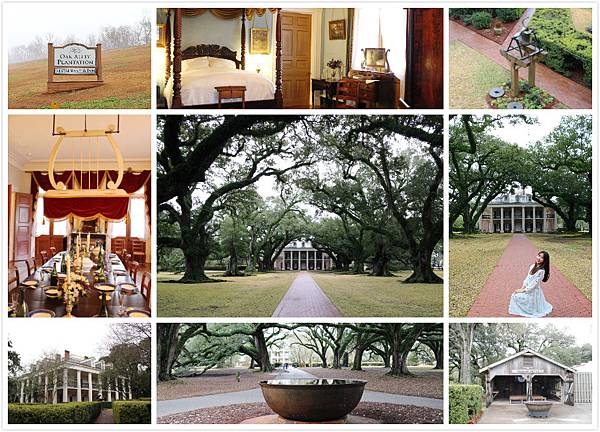 Oak Alley.jpg Oak Alley.jpg